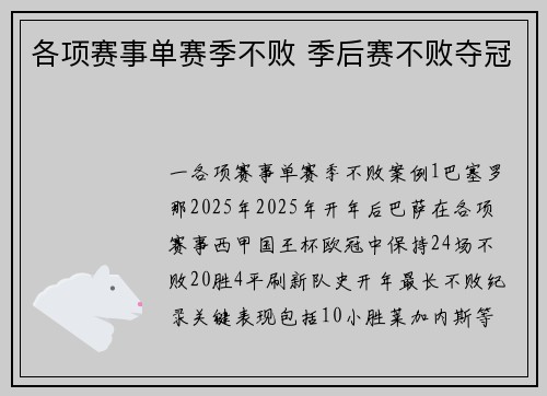 各项赛事单赛季不败 季后赛不败夺冠
